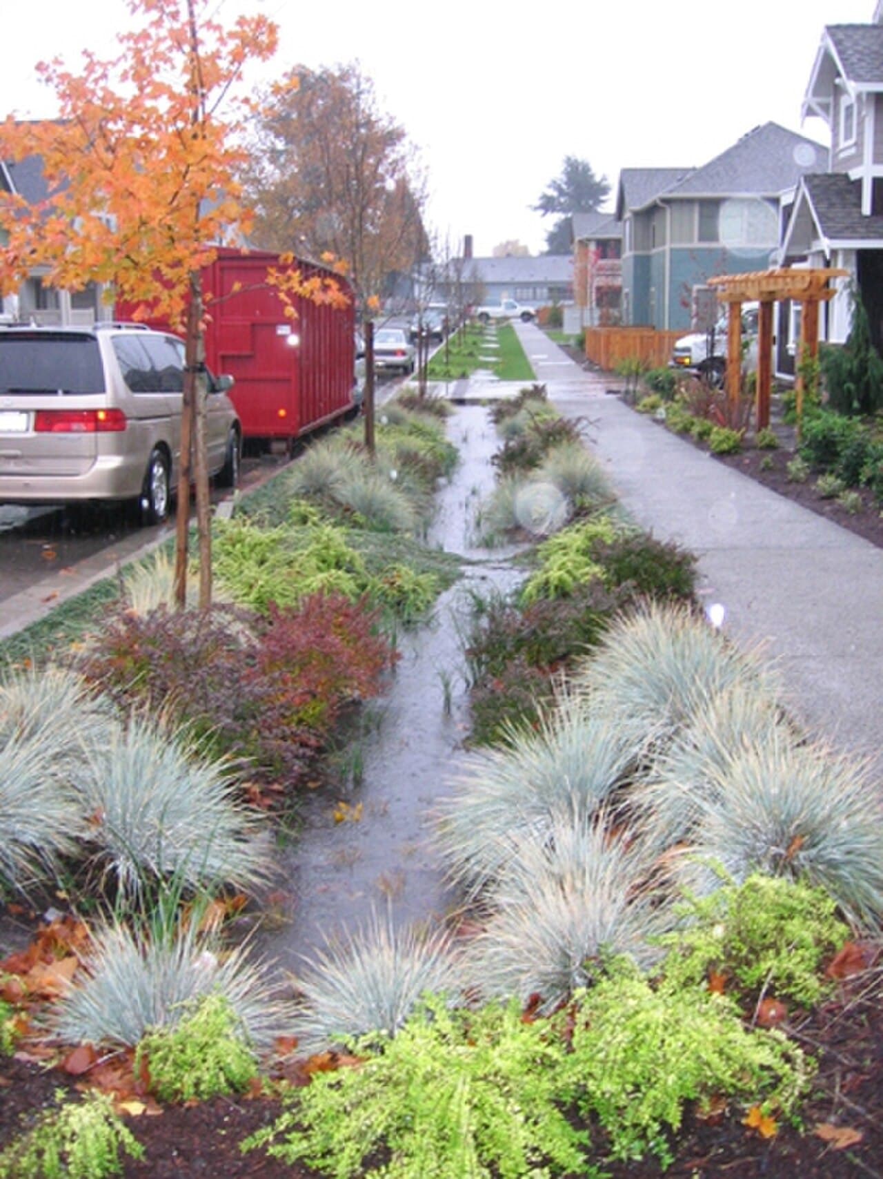 A rain garden in Seattle's High Point neighborhood retains stormwater runoff and helps reduce peak flooding. Image: U.S. Environmental Protection Agency / Clarion Associates, public domain via Wikimedia Commons.