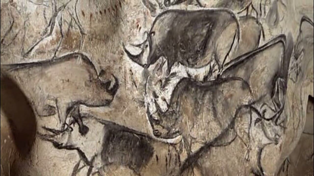 The Horse Panel at Chauvet, drawn with charcoal on prepared white limestone. The shading on the muzzles creates depth.