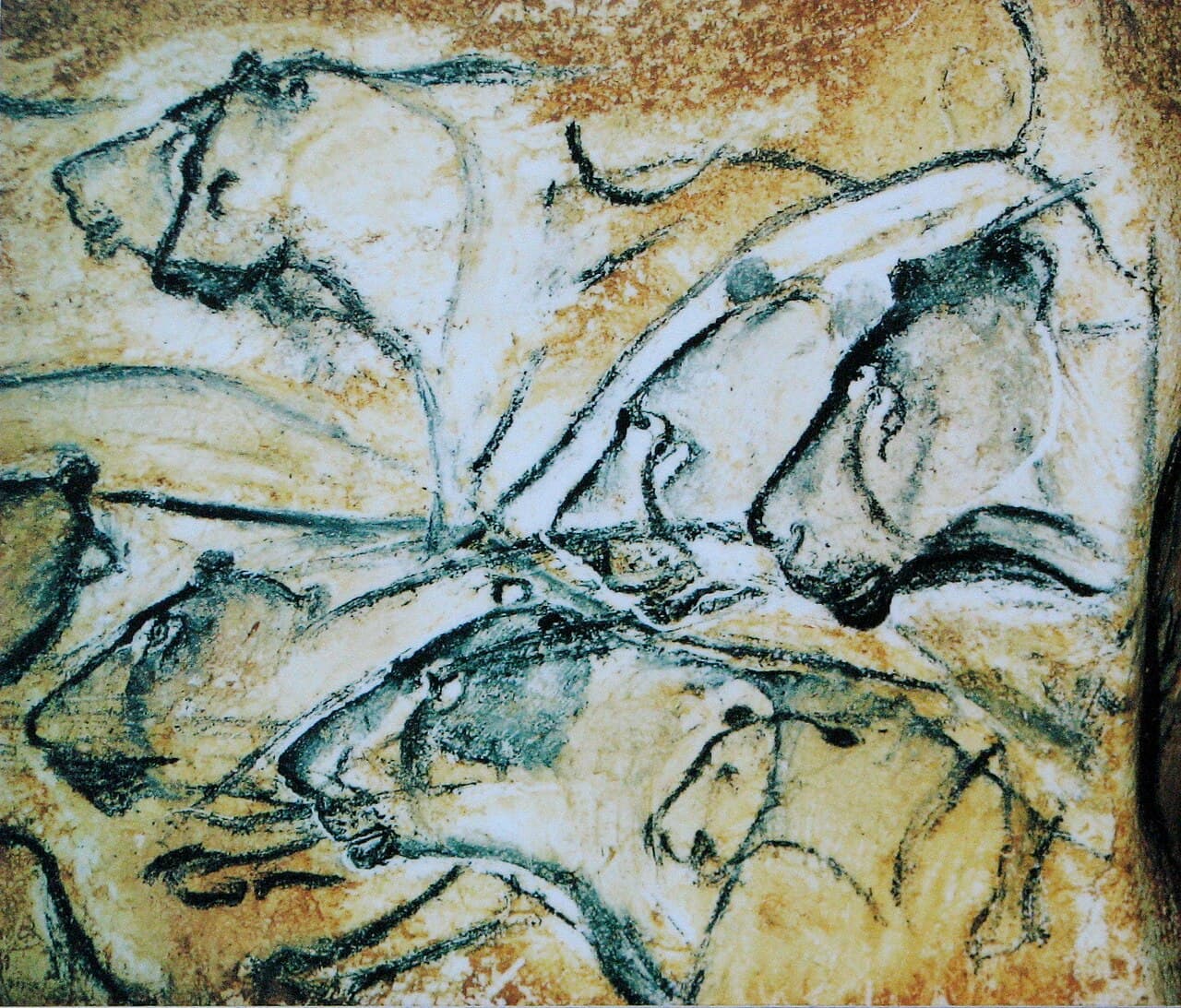 The Lions Panel at Chauvet (replica), painted approximately 36,000 years ago. The cave lions are drawn without manes — anatomically correct for Panthera spelaea.
