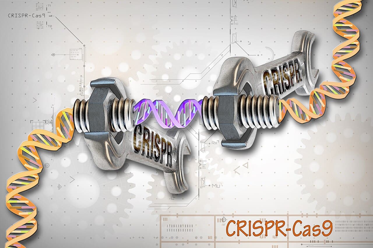 CRISPR-Cas9: a guide RNA directs the Cas9 nuclease to a target sequence. The mechanism is bacterial; the tool, ours.