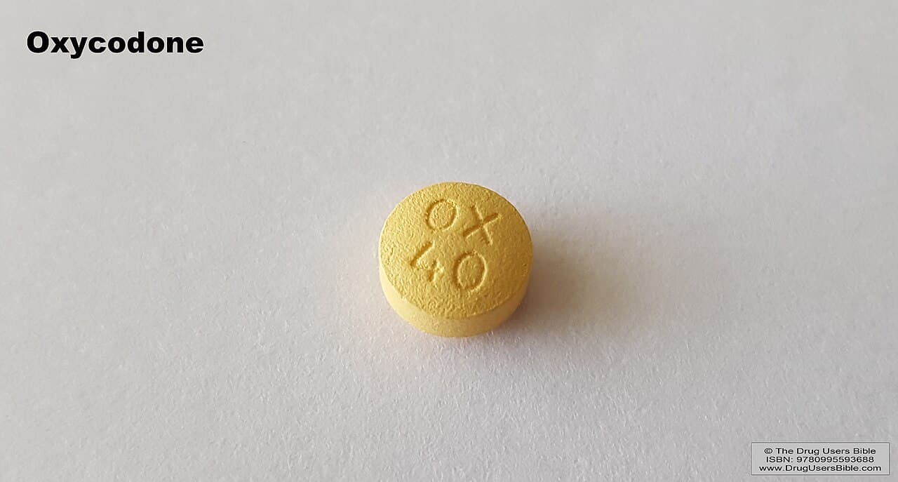 OxyContin tablets. The marketing of opioids for chronic pain from 1996 onward was underwritten by an outdated specificity model of pain — and contributed to over 100,000 American deaths per year by the early 2020s.