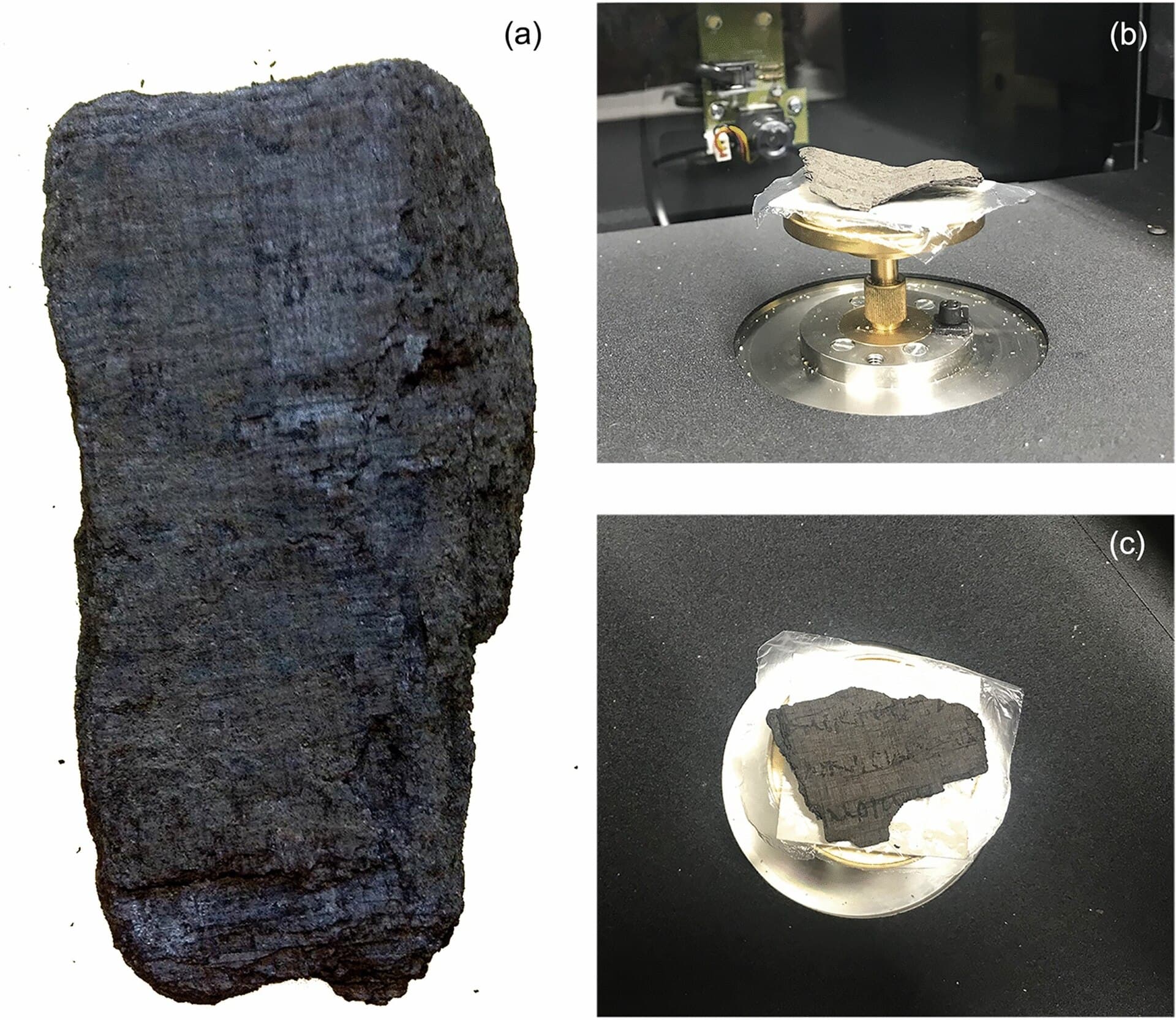 Reading the scrolls that Vesuvius burned