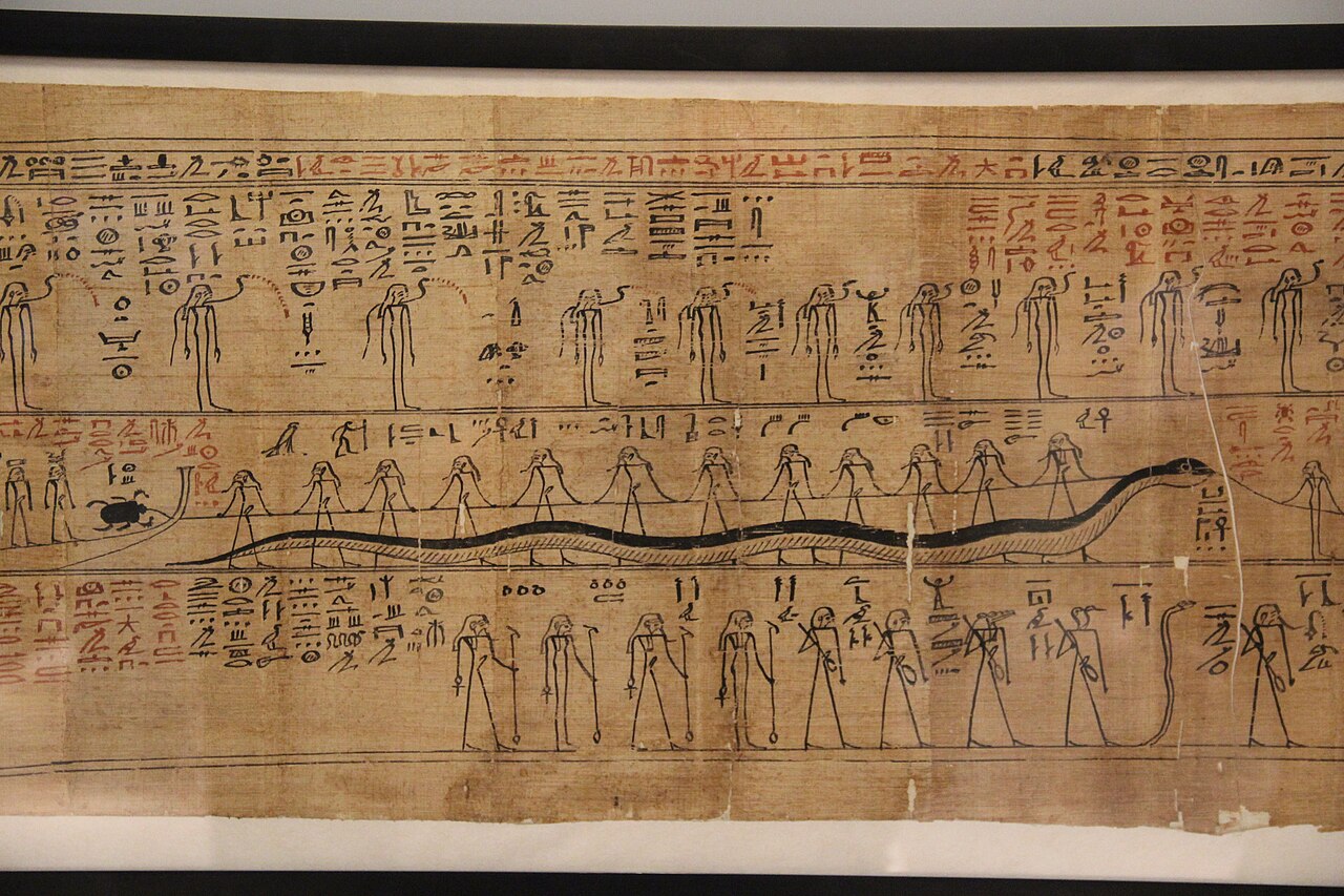 Papyrus, the medium on which the library's holdings were stored. Without continuous copying, scrolls deteriorate within centuries.