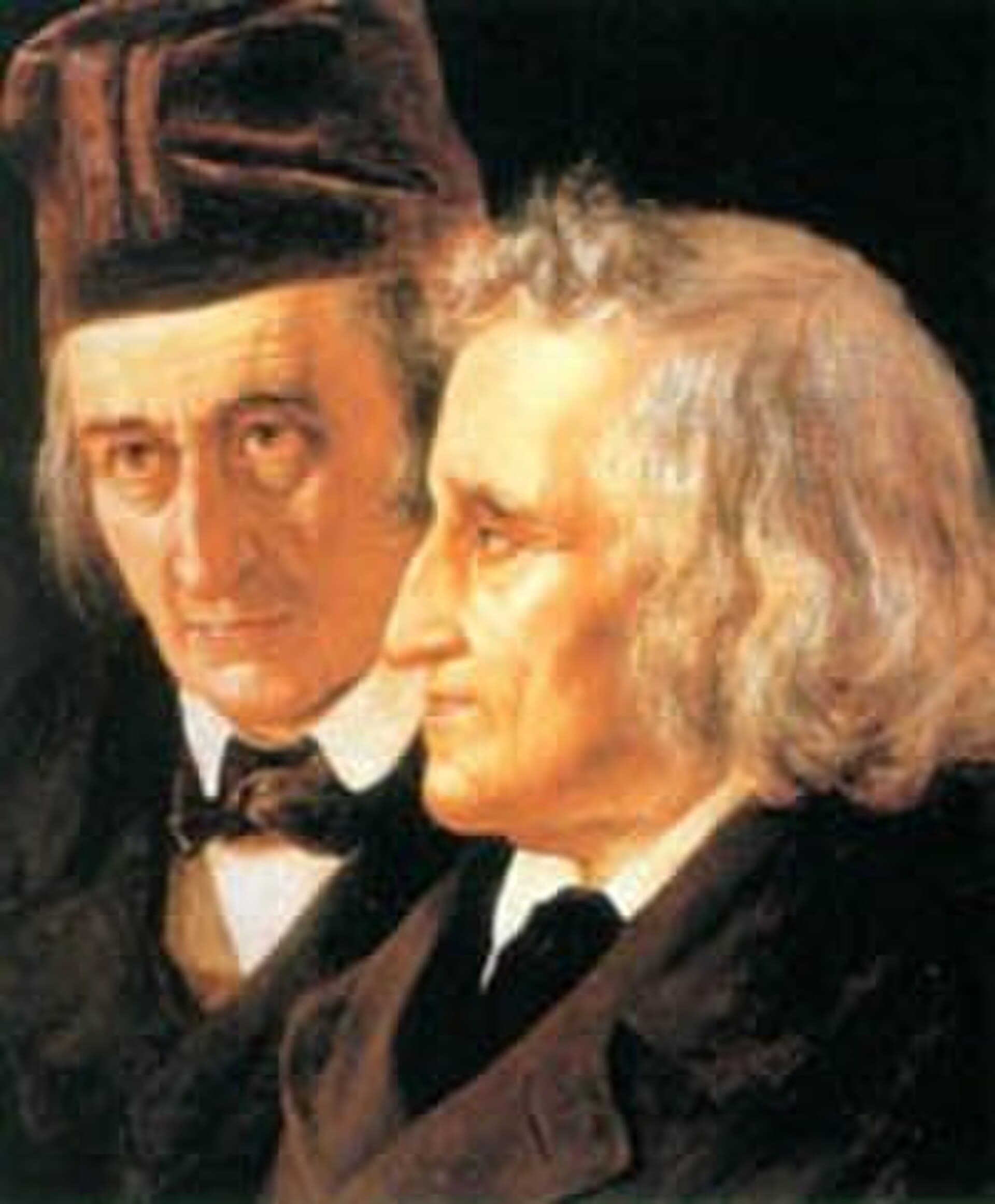 The Brothers Grimm and the invention of modern German