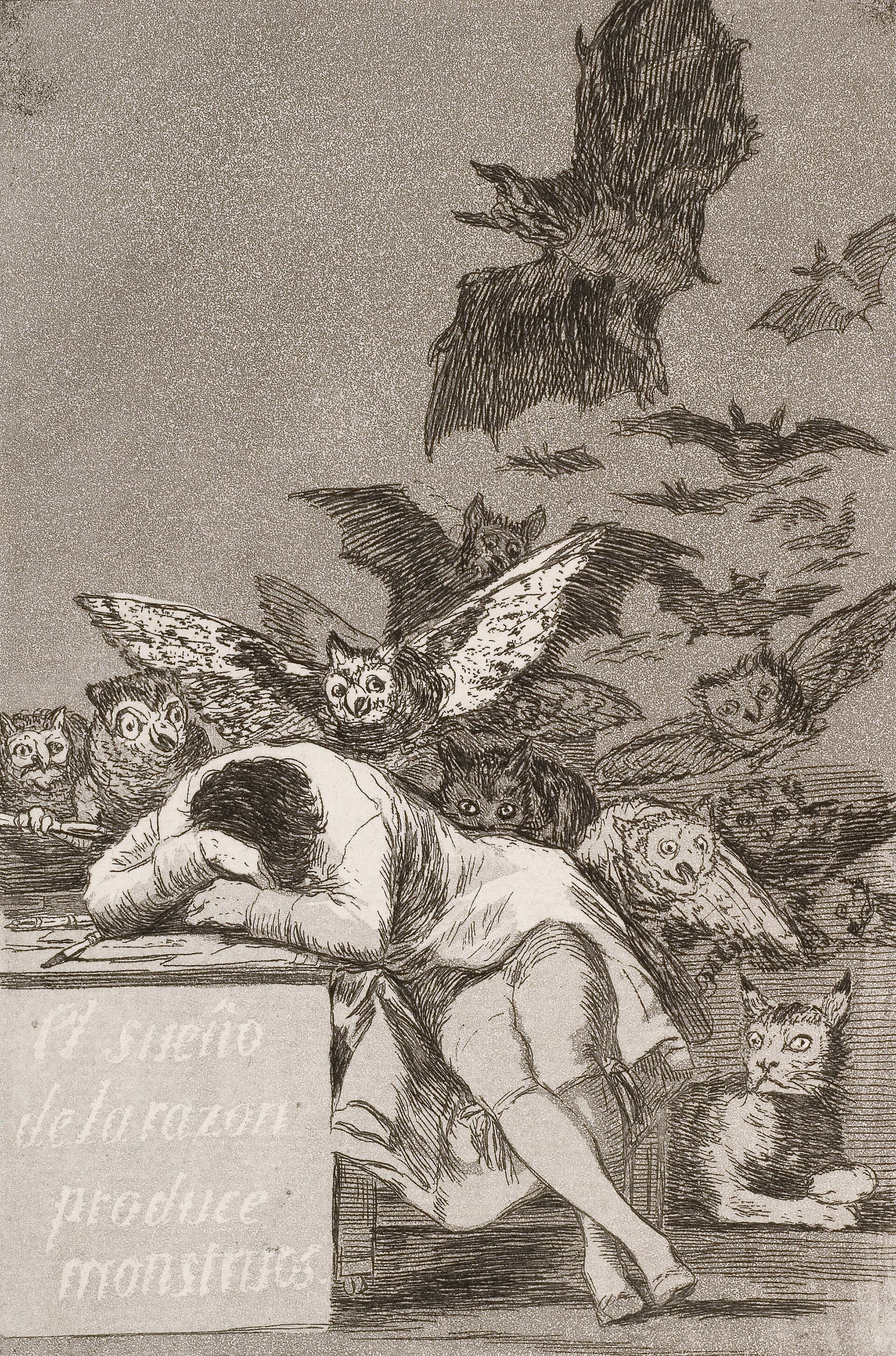 What dreams might be for