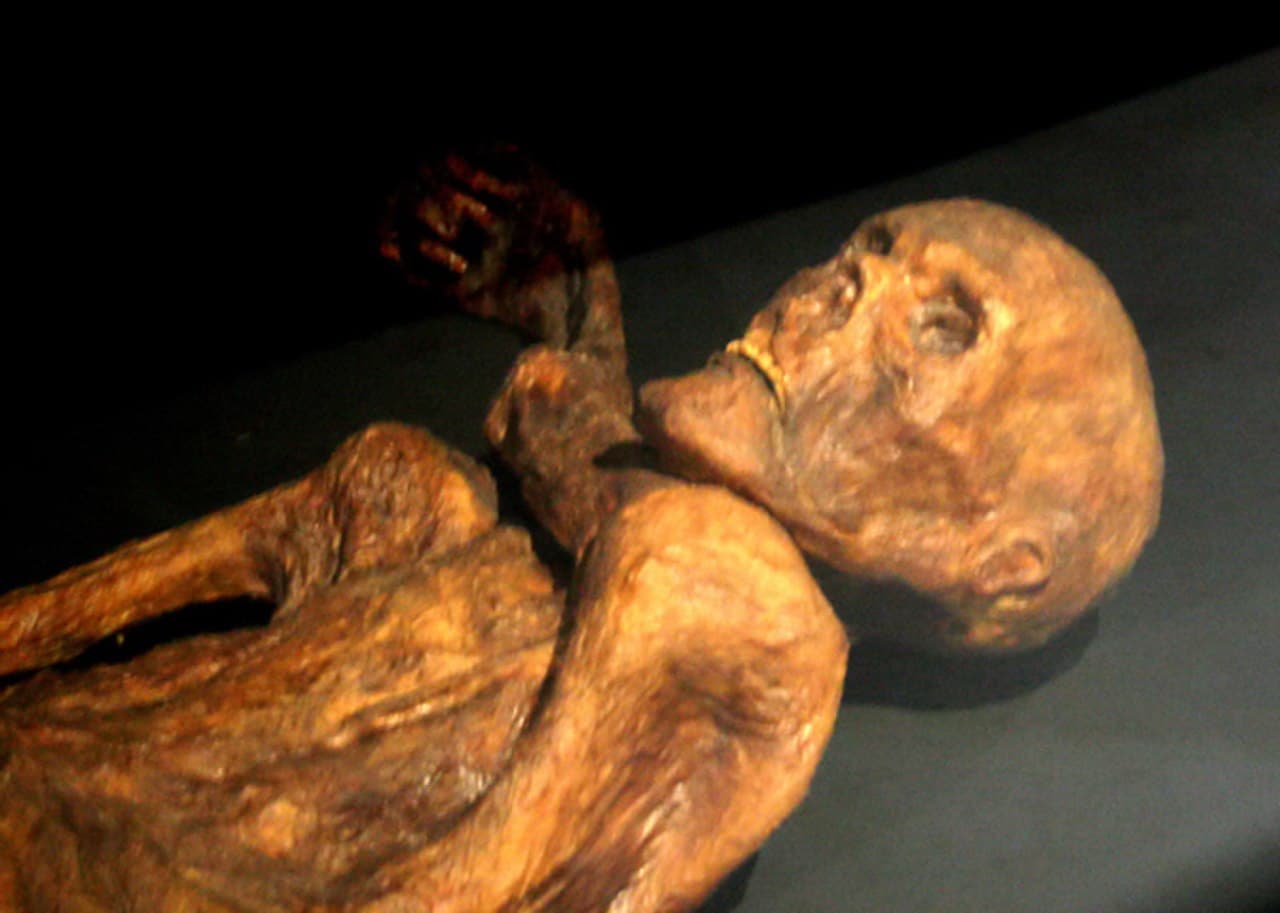A facial reconstruction of Ötzi by the Kennis brothers, based on the actual skull. The original body remains at the South Tyrol Museum, Bolzano.